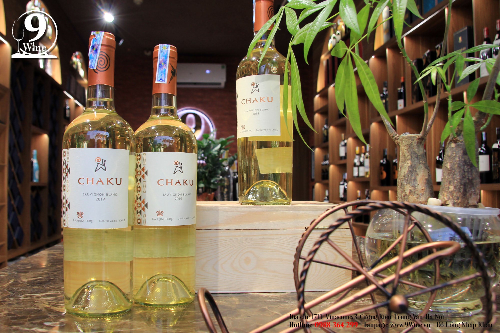 Rượu Vang Chaku Sauvignon Blanc