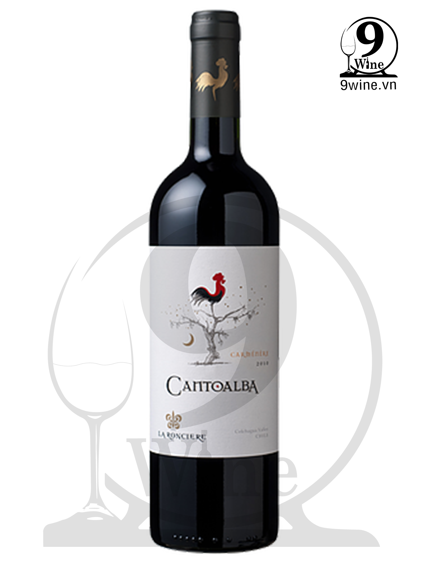 Rượu Vang Cantoalba  Carmenere
