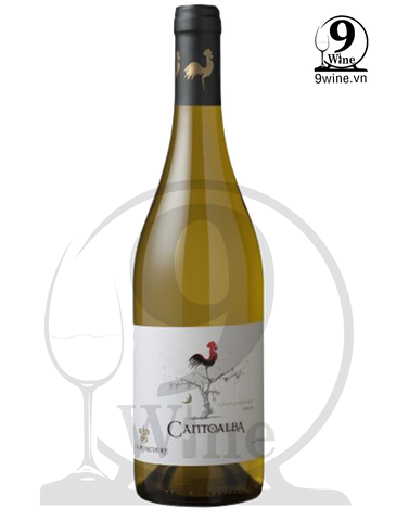 Rượu Vang Cantoalba Chardonnay