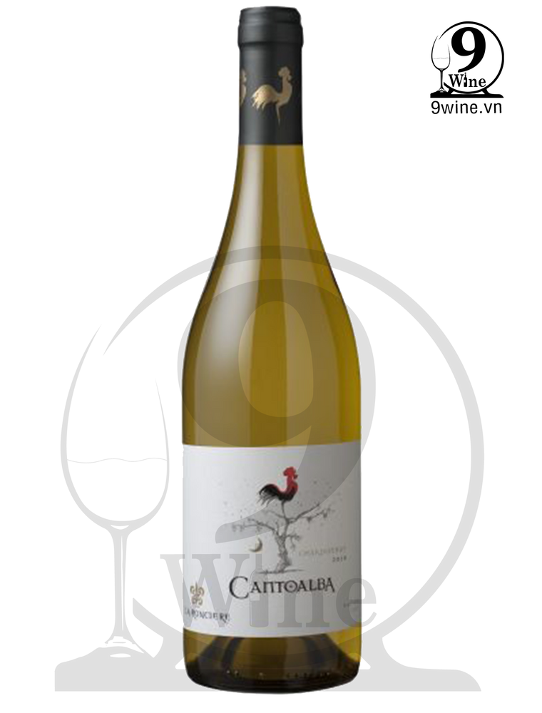 Rượu Vang Cantoalba Chardonnay