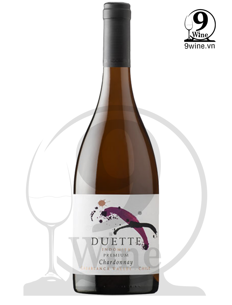 Rượu Vang Duette Premium Chardonnay