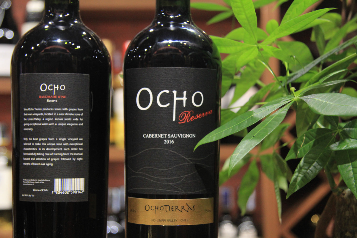 Ocho Reserva Cabernet Sauvignon