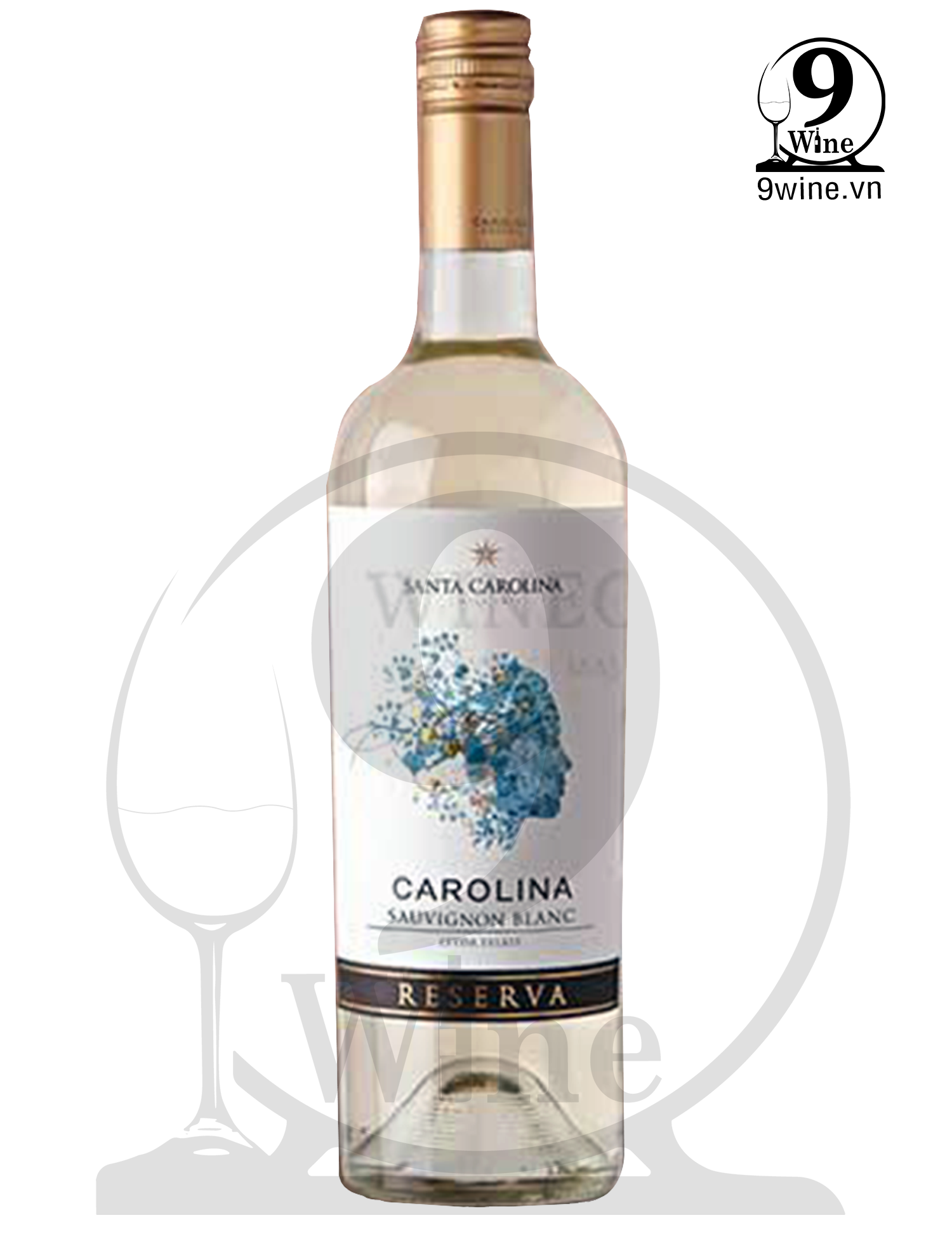 Rượu Vang Santa Carolina Sauvignon Blanc